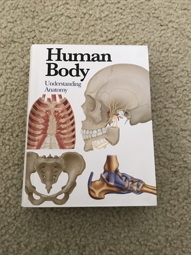 Human body understanding - body:,