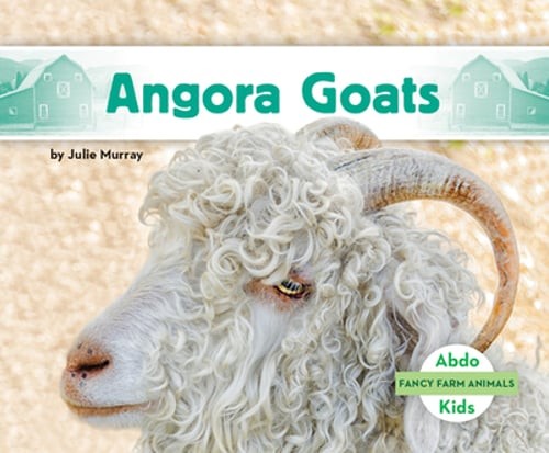 Angora goats julie - goats, by