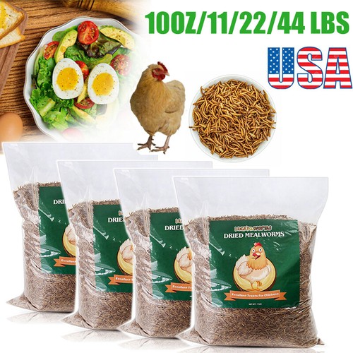 Bulk dried mealworms - mealworms, wild