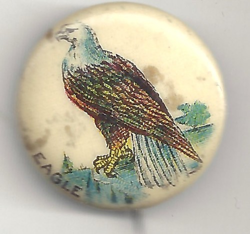 1896 pin pepsin gum - pin, eagle