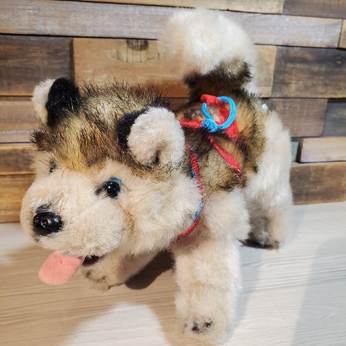 Kipmik alaskan husky sled - kipmik, dog