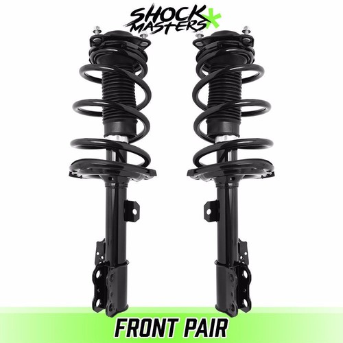 Complete struts for 2011 - struts,