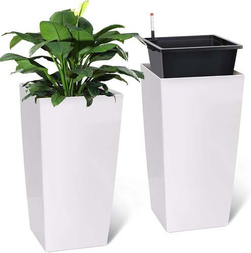 Pair inch self - pair, self-watering