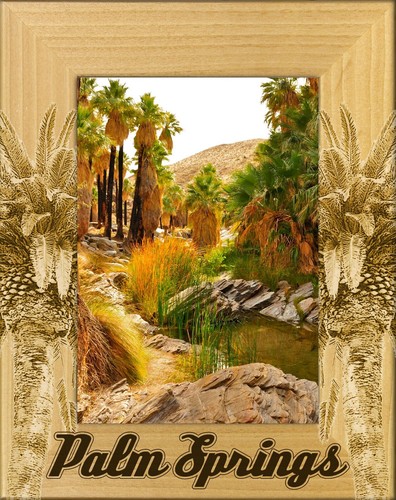 Palm springs california laser - palm,