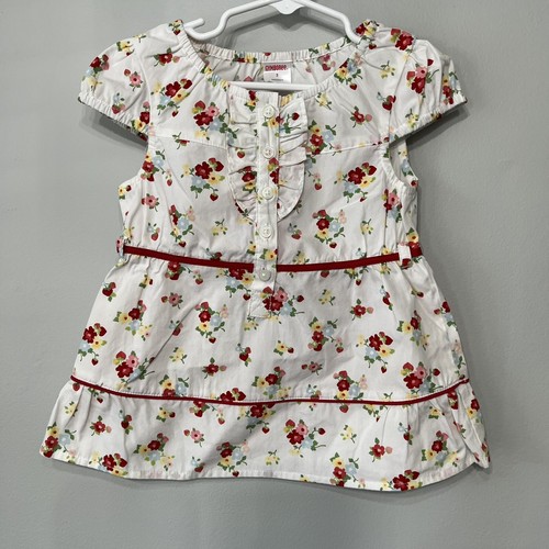 Gymboree strawberry farm - gymboree,