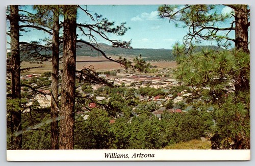 Bird eye view - bird's-eye, williams