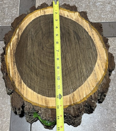Black walnut live edge fresh