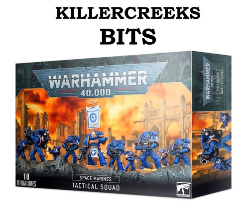Warhammer 40k space - warhammer, marines