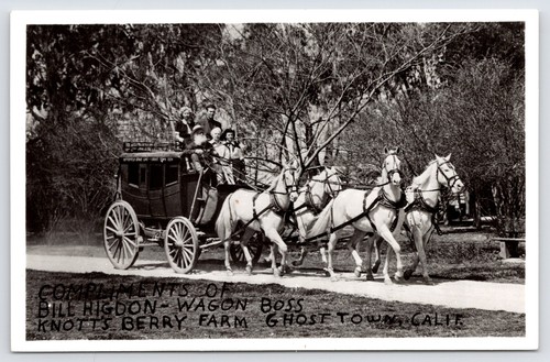 Knotts berry farm ghost - berry,