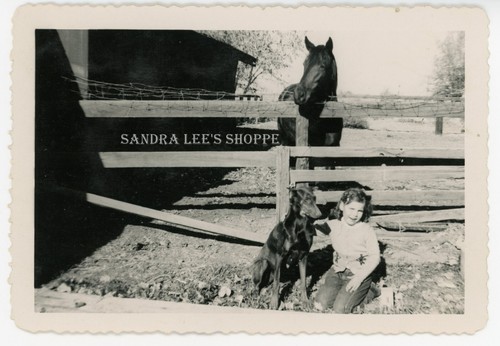 1950s original photo - 1950s,