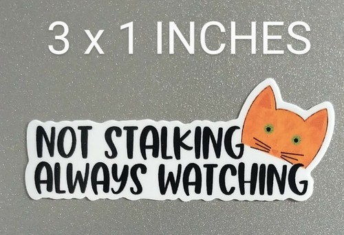 Cat always watching 3x1 - cat,