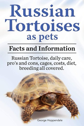 Russian tortoises pets - tortoises,