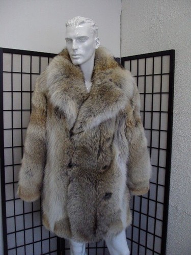 Brand new natural coyote - ~,