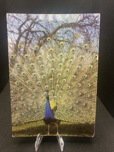 Postcard beautiful - postcard:, ￼