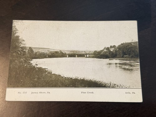 Vintage postcard pine - vintage,