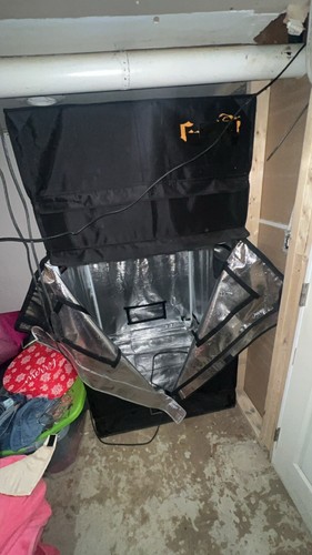 Gorilla grow tent - gorilla,
