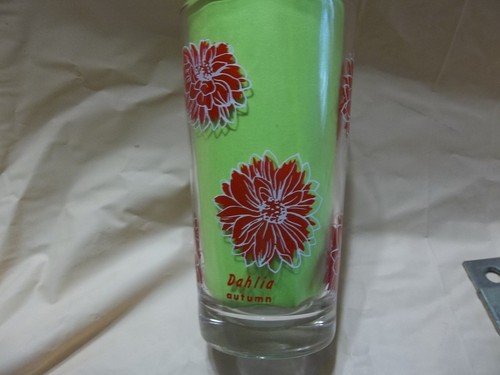 Boscul red white dahlia - &,
