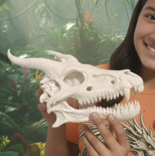 Dragon skull decor realistic - decor,