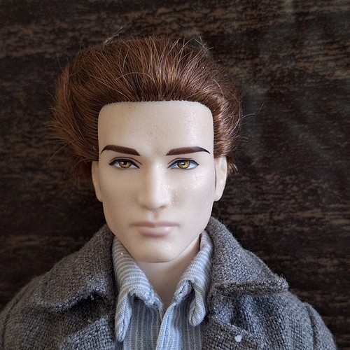 Twilight saga edward - twilight, cullen