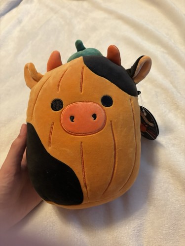 Squishmallows pumpkin - 8”,
