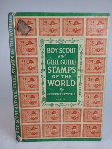 Boy scout and girl guide - boy,