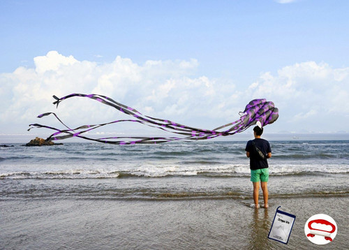 Kite octopus large frameless - octopus,