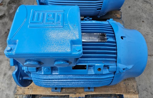Weg electric motor v1t - motor, 50