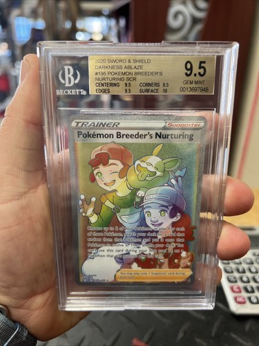 Pokemon breeders nurturing - pokemon,
