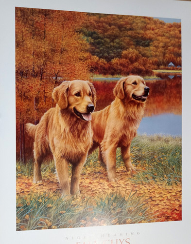 Fall guys nigel hemming - fall, by