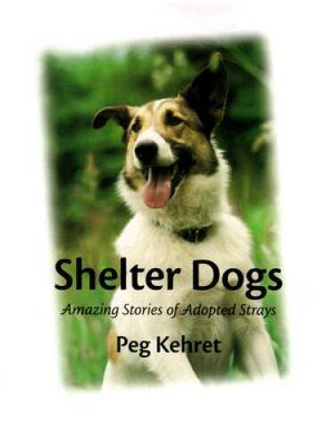Shelter dogs amazing - shelter,