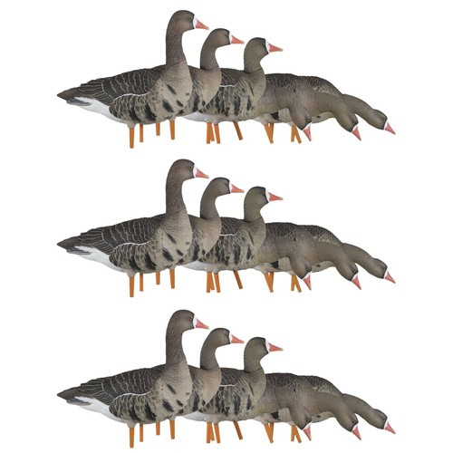 Avian axp specklebelly decoy - avian,