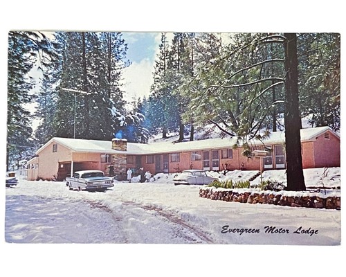 1960s vintage postcard - 1960s,