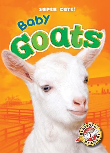 Baby goats schuetz kari - schuetz,,