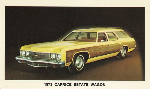 Chevrolet 1973 chevy laguna - 1973,