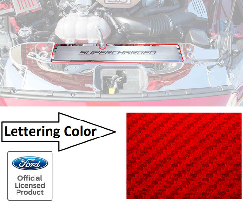 Radiator cover plate - radiator, w/