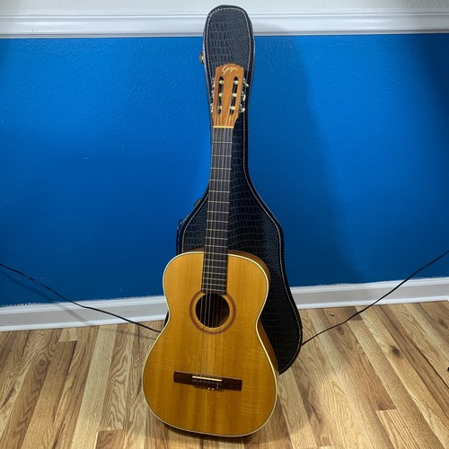 Goya 1960s 6 string - 1960s,