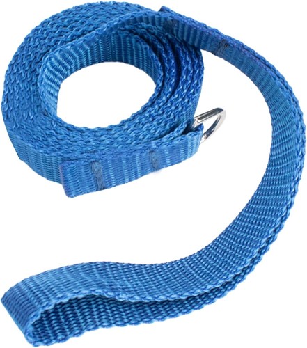 Dog flat slip - dog, pet