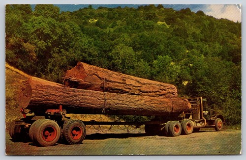 Postcard log truck - postcard,