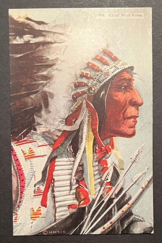 Mint usa postcard native - usa,