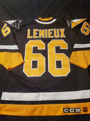 Mario lemieux pro 1993 - pro,