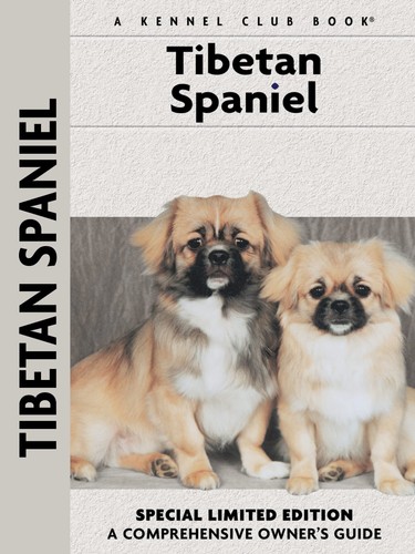 Tibetan spaniel - tibetan,