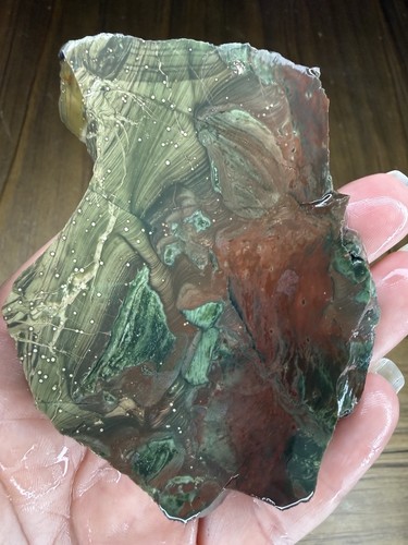 Owyhee morrisonite jasper - owyhee,