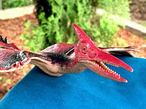 Rare pteranodon pterodactyl - rare,