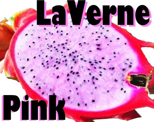 Laverne pink dragon - pink,