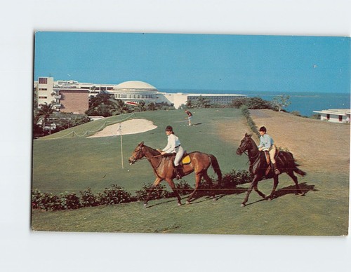 Postcard horse riding and - riding,