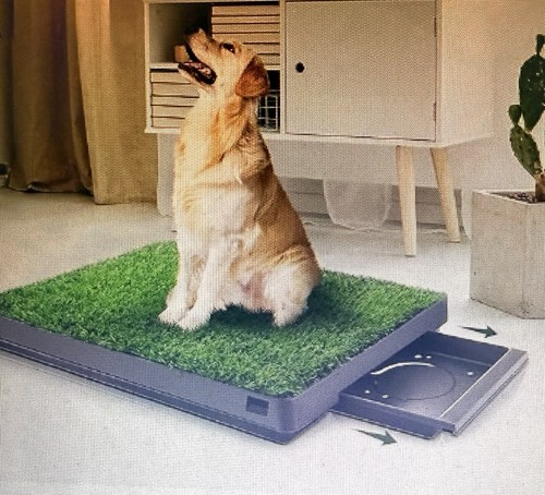 Dog grass pad slide - dog,