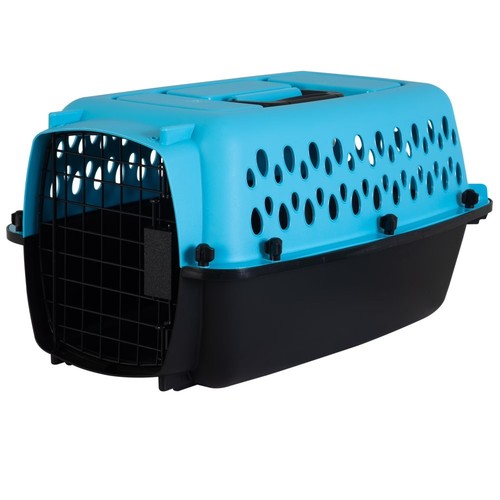 Pet porter fashion - pet, travel