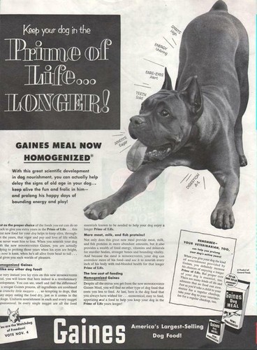 1952 gaines print dog - print,