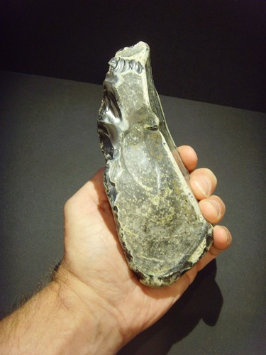 Lower paleolithic early - lower,