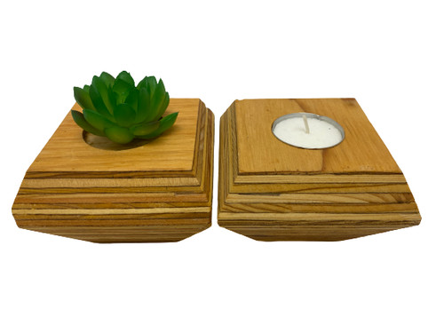 Set wooden succulent - set, 2